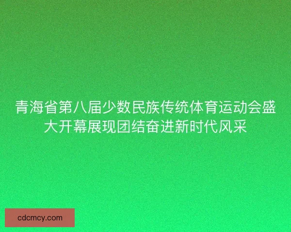 青海省第八届少数民族传统体育运动会盛大开幕展现团结奋进新时代风采